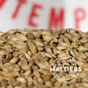 [LMMUNICH] MALTA MUNICH MALTIERS          