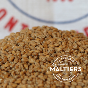 [LMWHEAT] MALTA WHEAT MALTIERS             